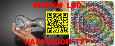 прущие грибы Апшеронск