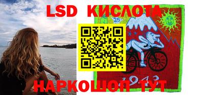 прущие грибы Апшеронск