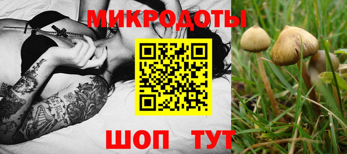 Березники  Псилоцибиновые грибы Cubensis  Вход с VPN  Галлюциногенные грибы мухоморы 