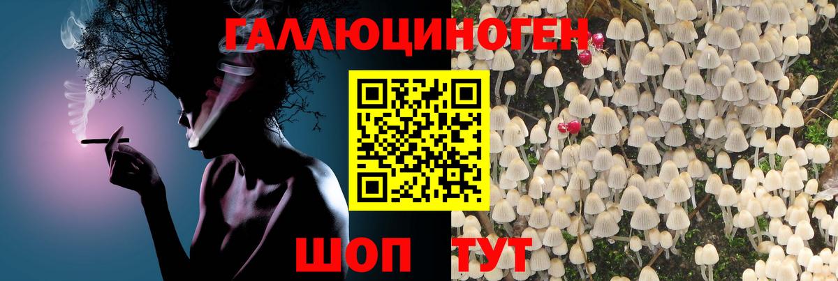 Галлюциногенные грибы ЛСД Березники